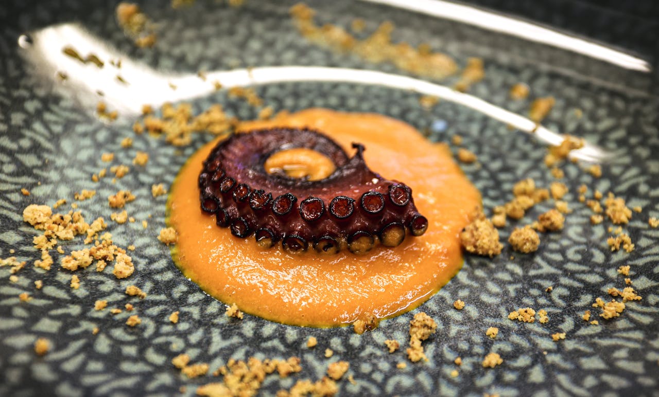 pulpo